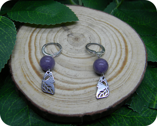 Boucles Esprit du Nord